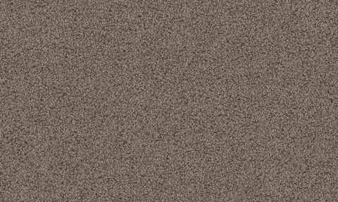 Elara 8G81
