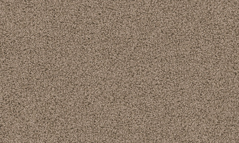 Elara 8L56
