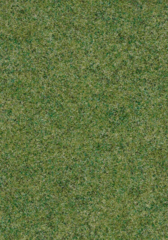 Forbo Forte 96008 Field