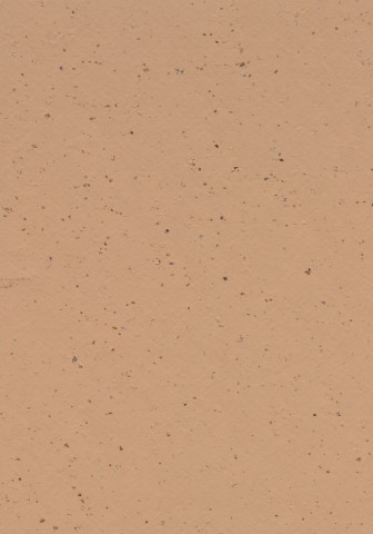Forbo Marmoleum Cocoa - 3592 Salted Caramel (2,5 mm)