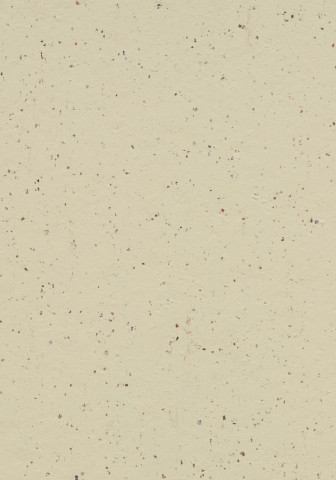 Forbo Marmoleum Cocoa - 3584 White Choclate (2,5 mm)