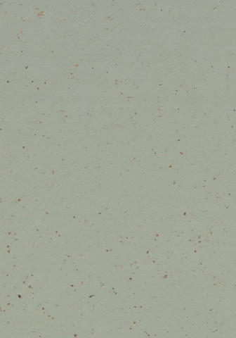 Forbo Marmoleum Cocoa - 3588 Eucalyptus (2,5 mm)