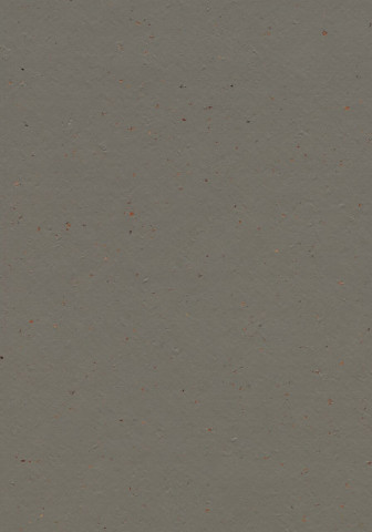Forbo Marmoleum Cocoa - 3589 Nori (2,5 mm)