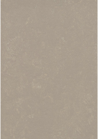 Forbo Marmoleum Concrete - 3708 Fossil (2,5 mm)