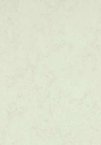 Forbo Marmoleum Concrete - 3749 Artic (2,5 mm)