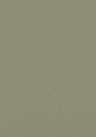 Forbo Marmoleum Walton - 3359 Bottle Green (2,5 mm)