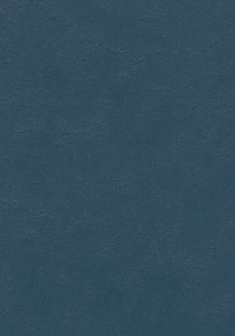 Forbo Marmoleum Walton - 3358 Petrol (2,5 mm)