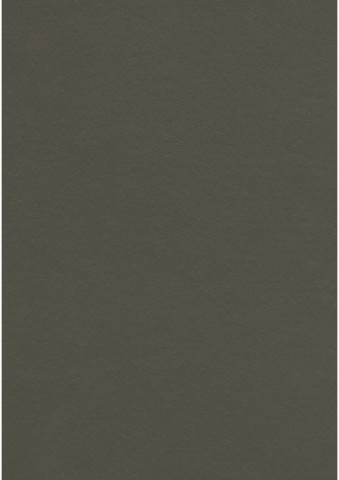 Forbo Marmoleum Walton - 3376 Peat (2,5 mm)