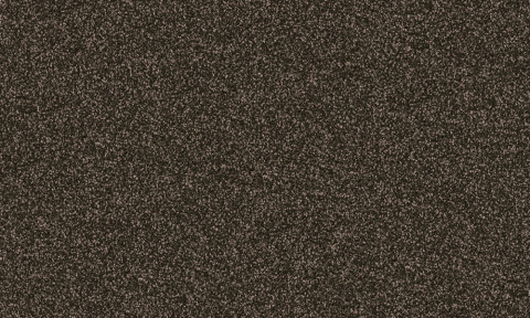 Frisea / 748E