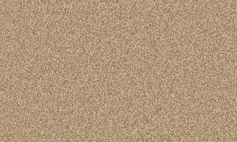 Frisea / 8L60