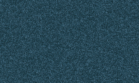 Frisea / 3S37