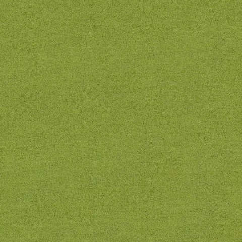 Polichrome Solid 4266012 Peridot