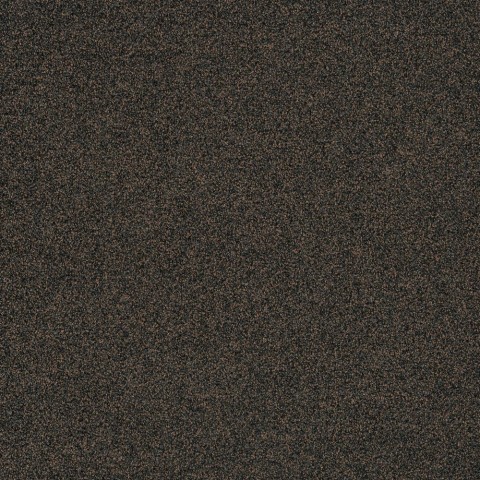 Polichrome Stipple 4265004 Java