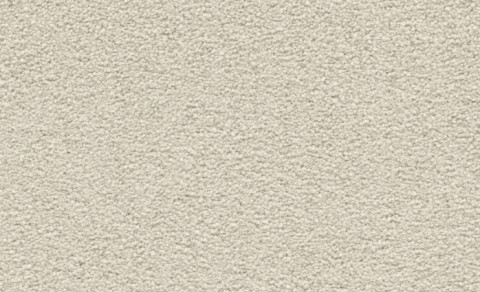 Violetta 6C95