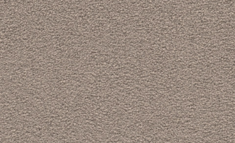 Violetta 54A9