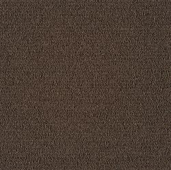 Color Collection Sparrow