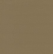 Essential 1031 Foris 2F29