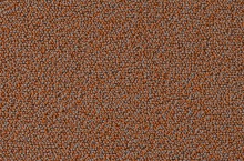 Essential 1032 Punctum 1M78 