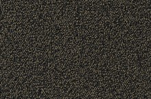 Essential 1032 Punctum 9F60