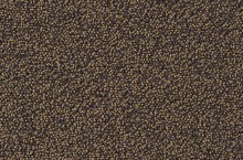 Essential 1032 Punctum 5W87
