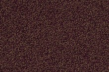 Essential 1032 Punctum 1M79
