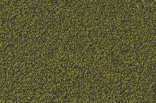 Essential 1032 Punctum 4G34