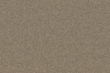Essential 1074 Parma 7G57