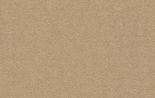 Essential 1076 Cosa 1N57