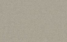 Essential 1076 Cosa 8K13