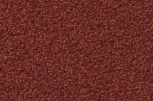 Exclusive 1009 Elara  1M16
