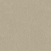 Exclusive 1066 Romance 6C79