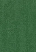 Forbo Flotex Colour Penang - s482010 Evergreen FORBO FLOORING SYSTEMS