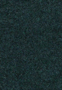 Forbo Forte 96028 Glade