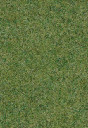 Forbo Forte 96008 Field
