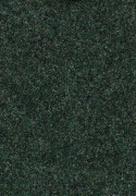 Forbo Forte 96018 Forest