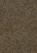 Forbo Forte 96005 Desert