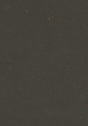 Forbo Marmoleum Cocoa - 3591 Black Tea (2,5 mm)