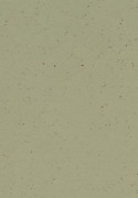 Forbo Marmoleum Cocoa - 3593 Matcha (2,5 mm)
