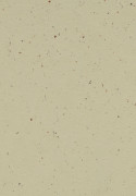 Forbo Marmoleum Cocoa - 3595 Pannacotta (2,5 mm)