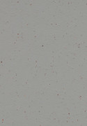 Forbo Marmoleum Cocoa - 3594 Chia Seeds (2,5 mm)
