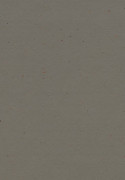 Forbo Marmoleum Cocoa - 3589 Nori (2,5 mm)