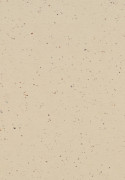 Forbo Marmoleum Cocoa - 3590 Meringue (2,5 mm)