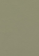 Forbo Marmoleum Walton - 3355 Rosemary Green (2,5 mm)