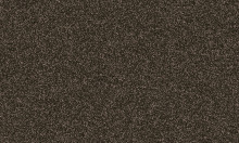 Frisea / 748E VORWERK® FRISEA