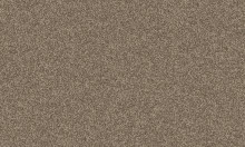 Frisea / 8L61 VORWERK® FRISEA