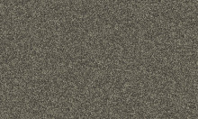 Frisea / 4J02 VORWERK® FRISEA