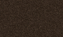 Frisea / 7G24 VORWERK® FRISEA
