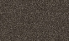 Frisea / 57A7 VORWERK® FRISEA