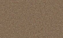 Frisea / 8L59 VORWERK® FRISEA