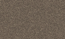 Frisea / 8L58 VORWERK® FRISEA
